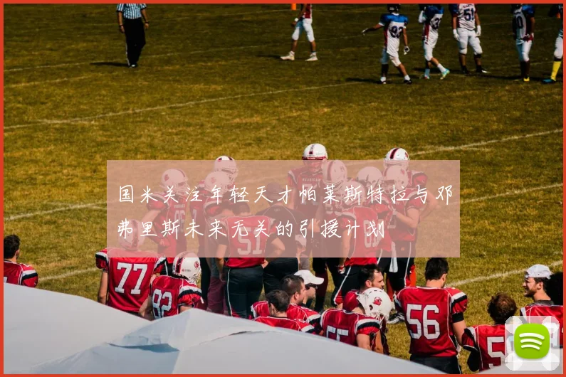 国米关注年轻天才帕莱斯特拉与邓弗里斯未来无关的引援计划
